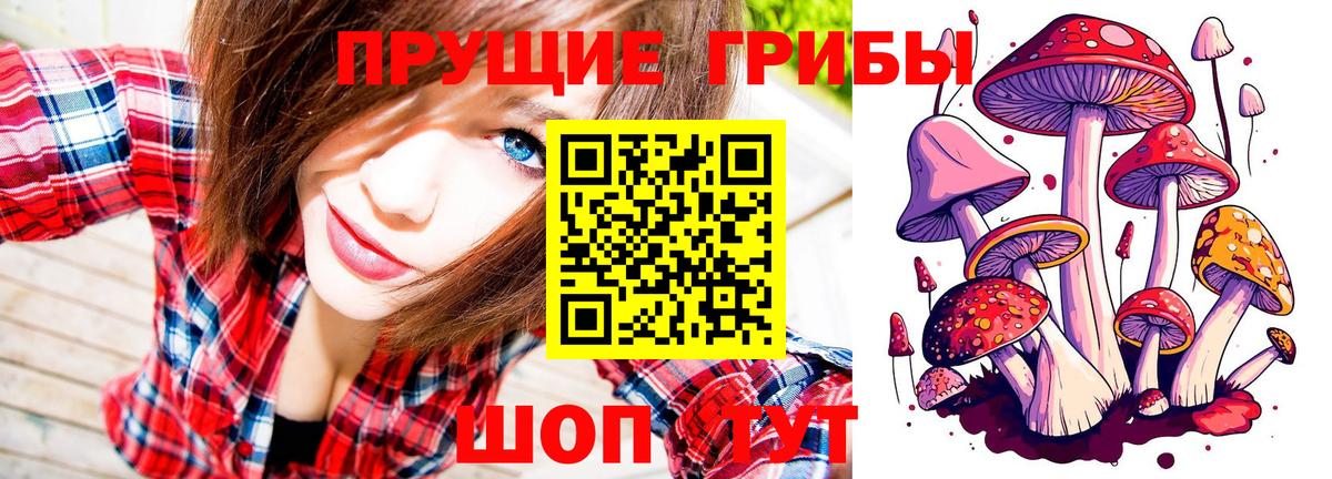 Псилоцибиновые грибы MAGIC MUSHROOMS Кубинка